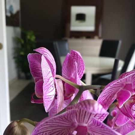 דירות בגלס Nano House מראה חיצוני תמונה